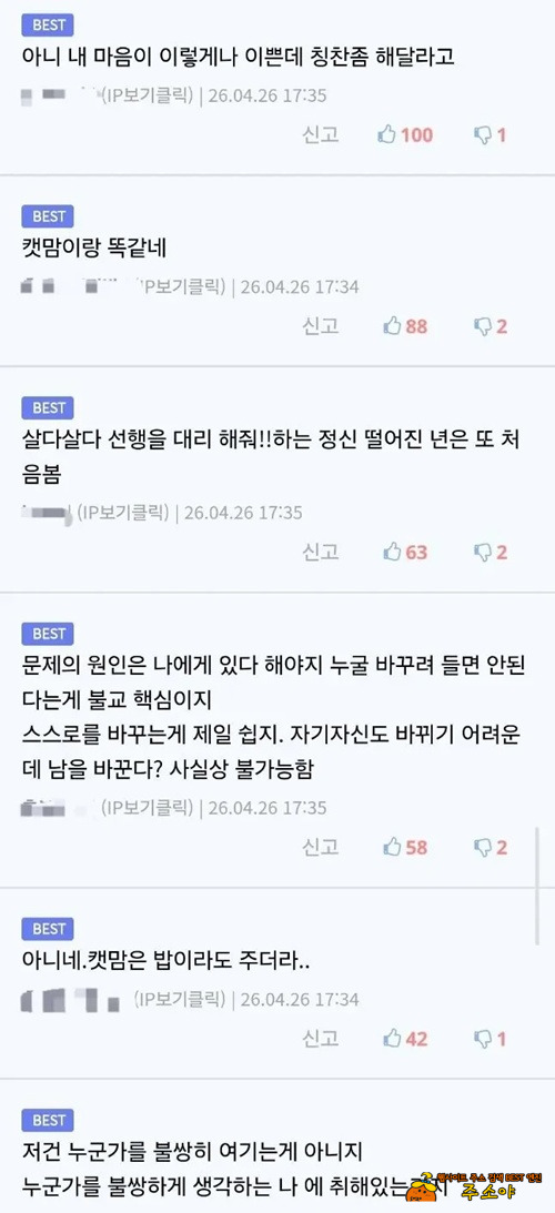 캣맘도 마찬가지