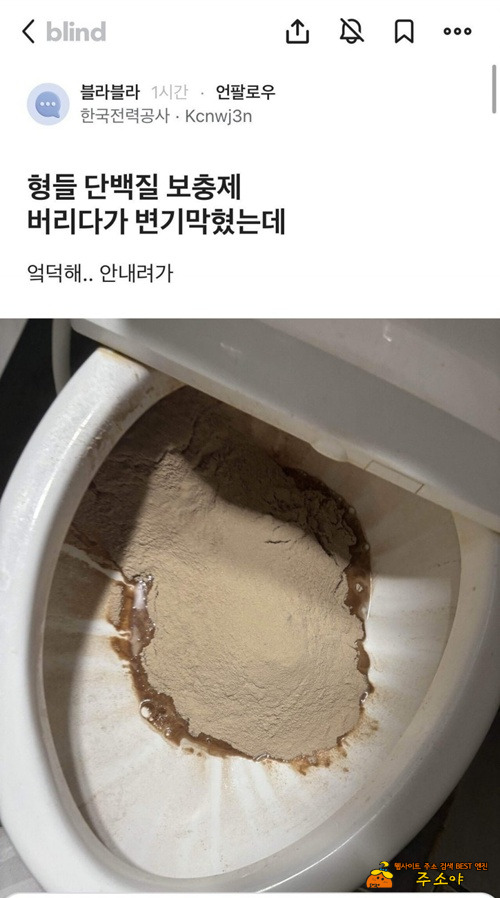 변기 근솔실ㅎㅎㅎ ㅇ 댓글 변기 근솔실ㅎㅎㅎ ㅇ 댓글