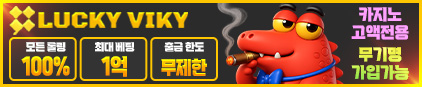 럭키비키