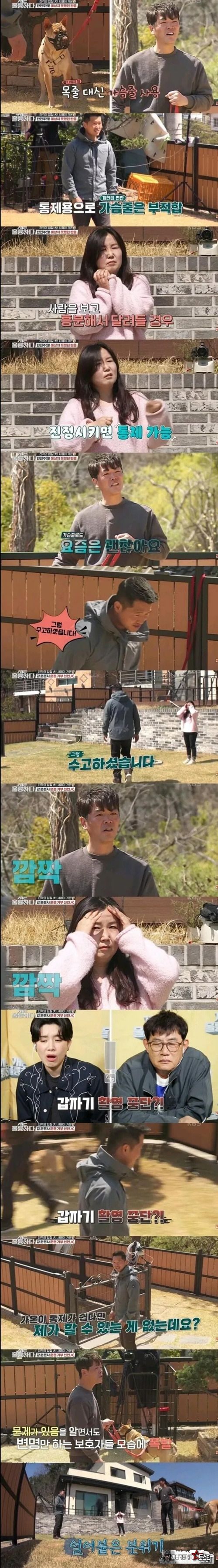 의뢰를 왜하냐..이럴꺼면