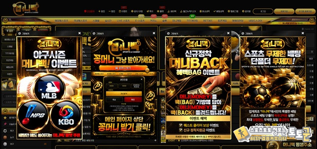 머니백 먹튀 확정