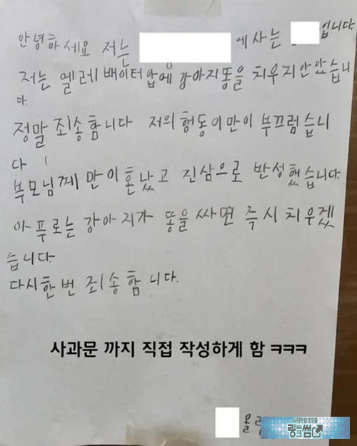 착하다고 느낍니다