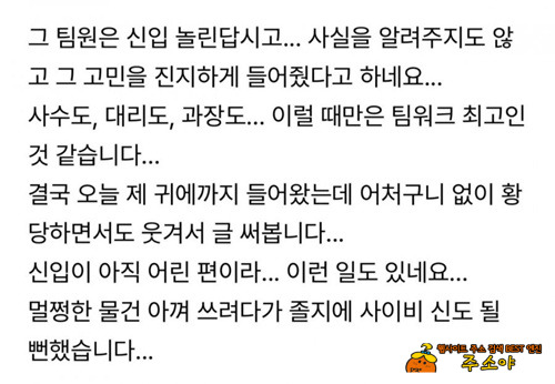 해명 안되면 퇴사각