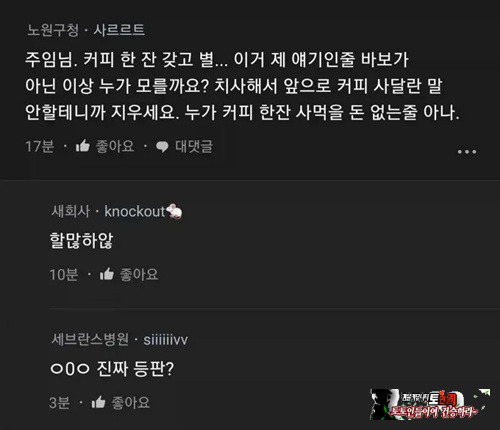 모질이들이 너무많아