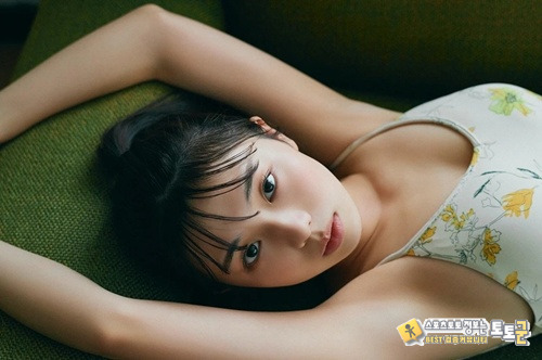 현시점 일본 1티어
