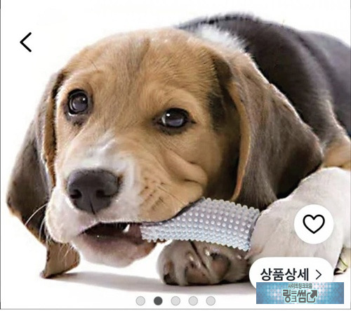 다른데 충분히 쓸수 있는 개껌