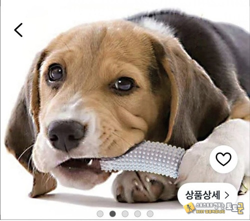 다른용도를 사용하지 마세요