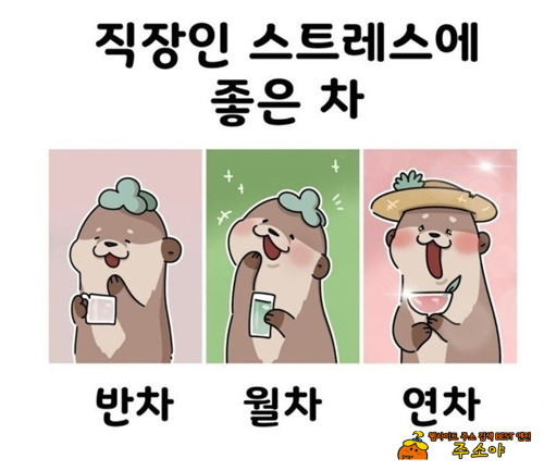 직장인 스트레스에 좋은차 직장인 스트레스에 좋은차