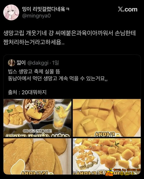 망고갈비는 개뿔~