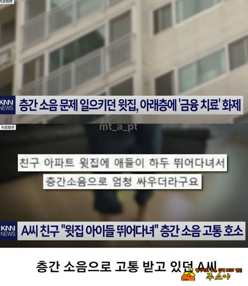 이게 진짜였군