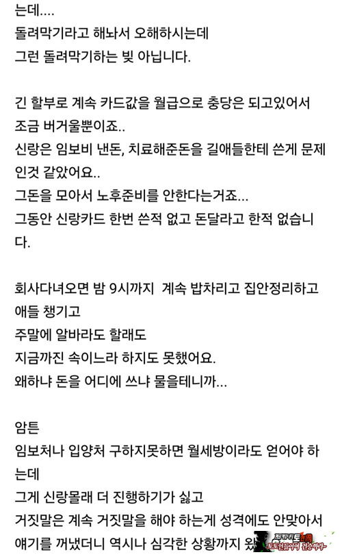 캣맘 그냥 싫다