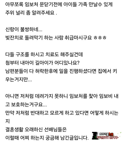 캣맘 그냥 싫다