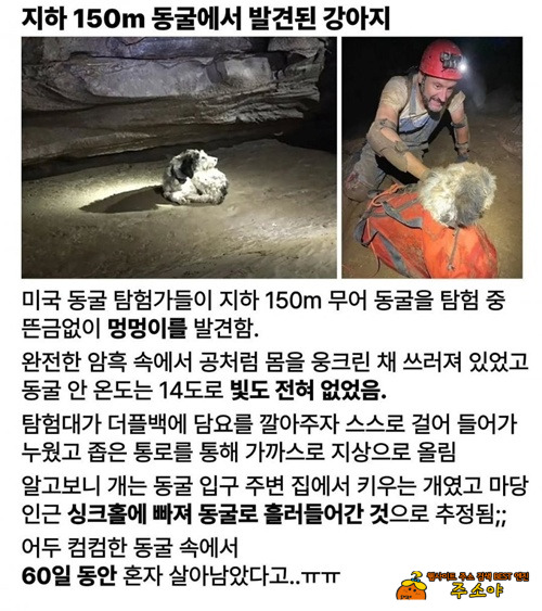 60일을 어떻게 버텼지? 60일을 어떻게 버텼지?