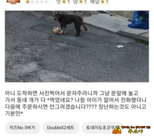 동내 개 고양이 잔치겠네 ㅎ 동내 개 고양이 잔치겠네 ㅎ