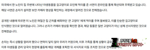 매일 고기를 준 할머니