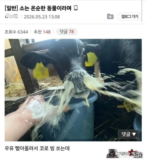 내 얼굴보고 뿜었나???