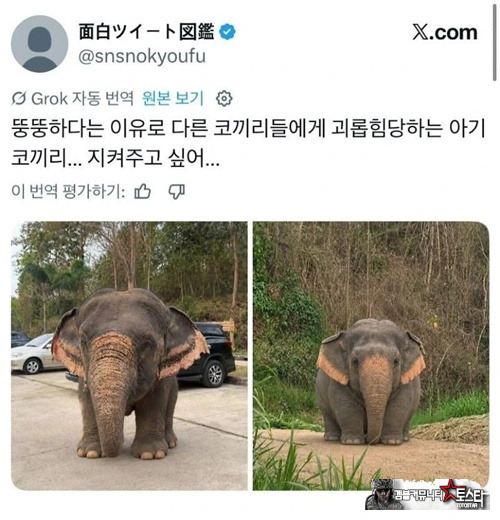 개인적으로 귀욥네요 ㅋㅋ