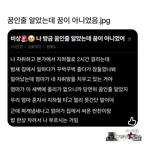 엄마는 사랑입니다