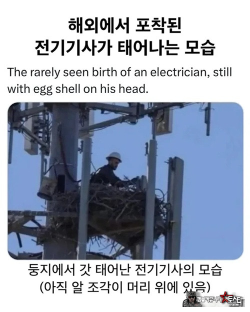 전기기사가 태어나는 모습