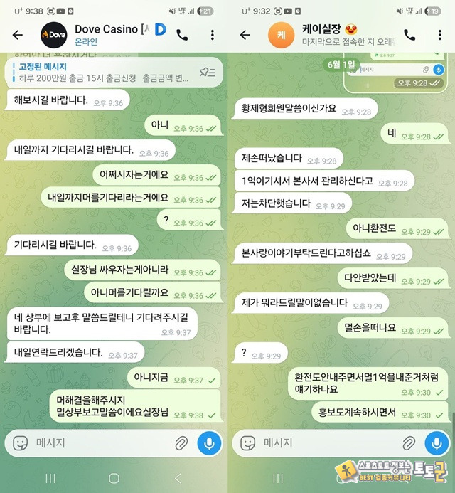 도브 먹튀 확정