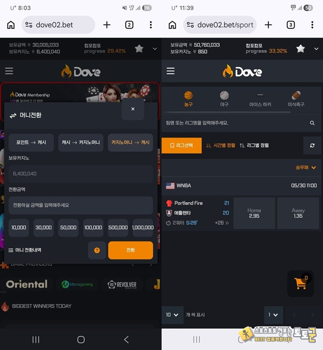 도브 먹튀 확정
