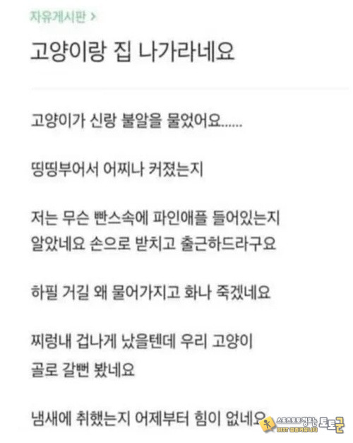 응급실부터 가야 하는 상황