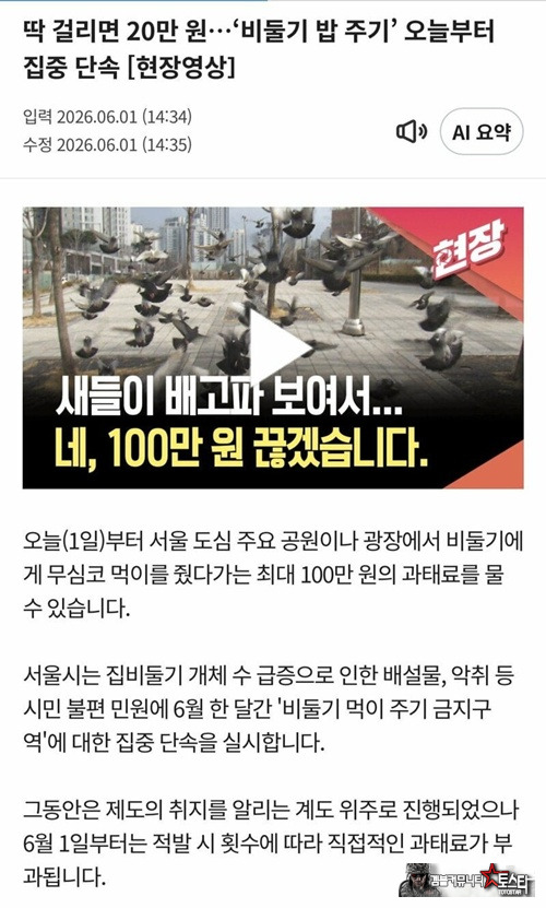 아줌마들 적당히좀 합시다