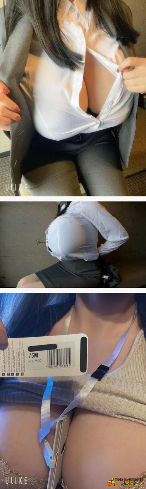 M컵 실제크기