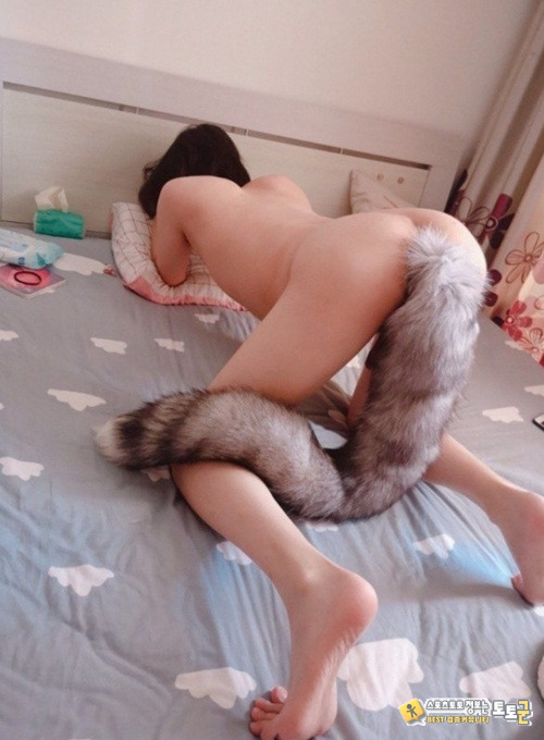 6 자주 놀러오는 여우 6