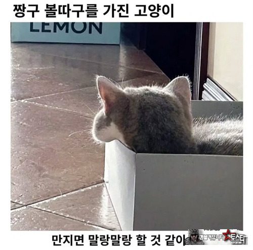 짱구 볼따구