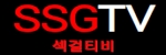 섹걸티비