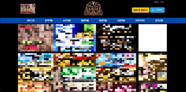 플레이존