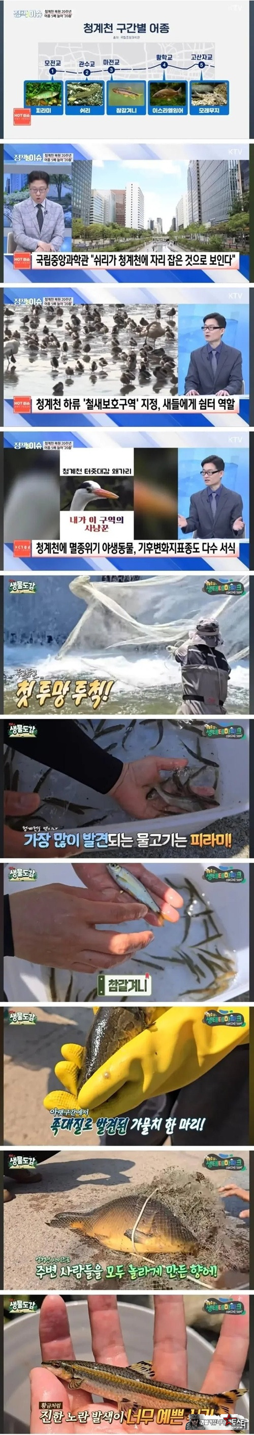 복원 20주년