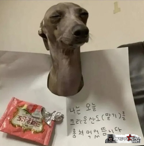 아 산도 먹고 싶네