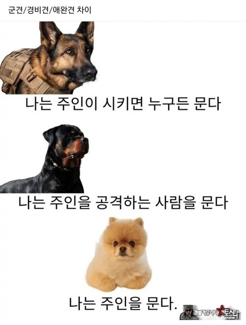 군견 경비견 애완견