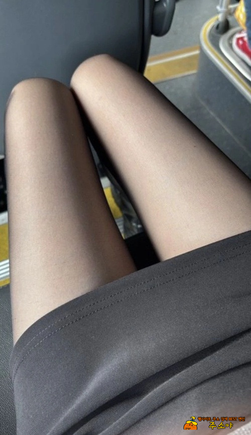 뉘..뉘시오???