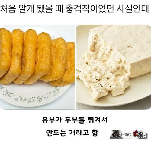 처음 알게 됐을 때 충격