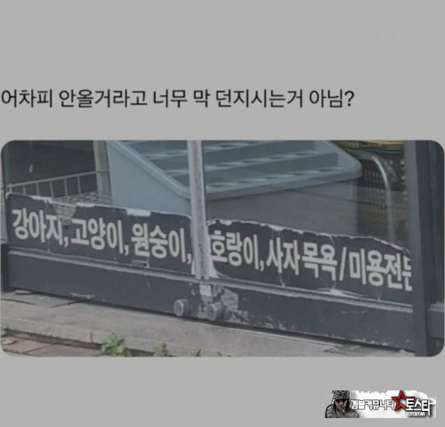 터지네요ㅋ