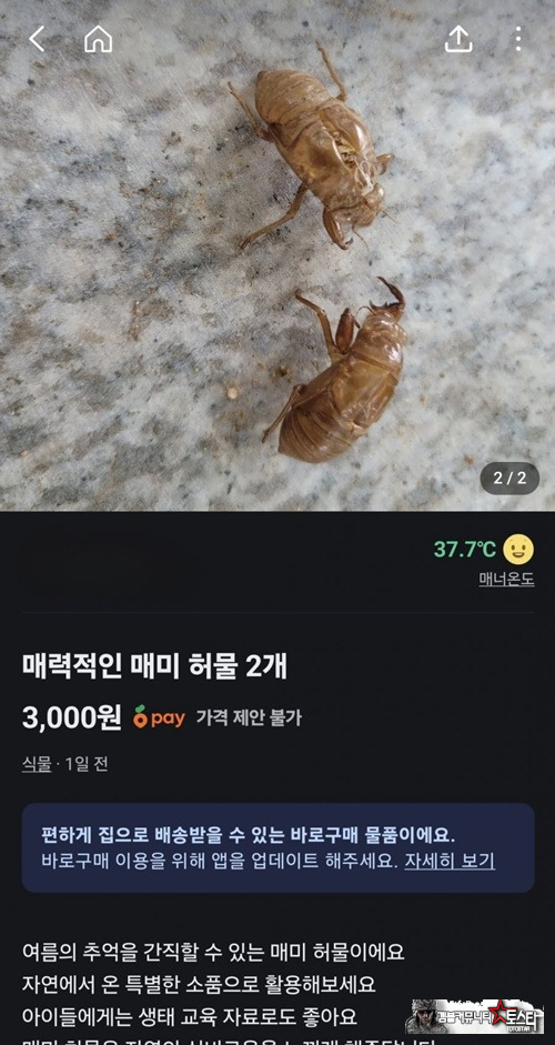 매력적인 당근매물