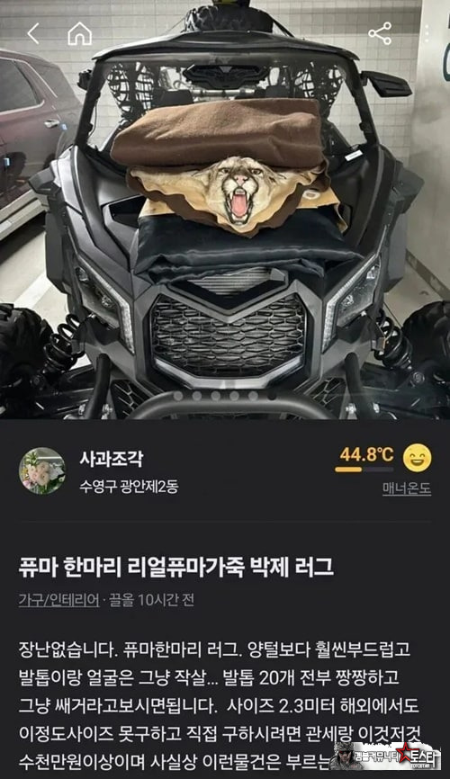 안파는게 없는 당근