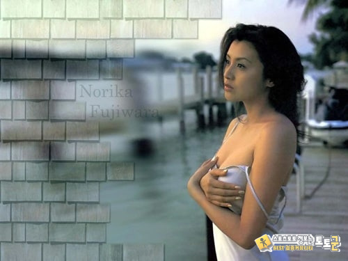 방송인 후지와라 노리카