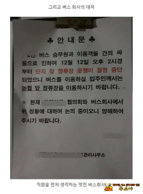 버스회사 잘했네 버스회사 잘했네