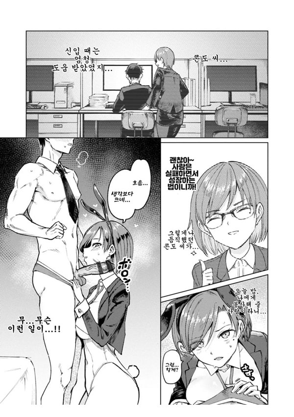 후기 토끼번식 보조과 후기 토끼번식 보조과