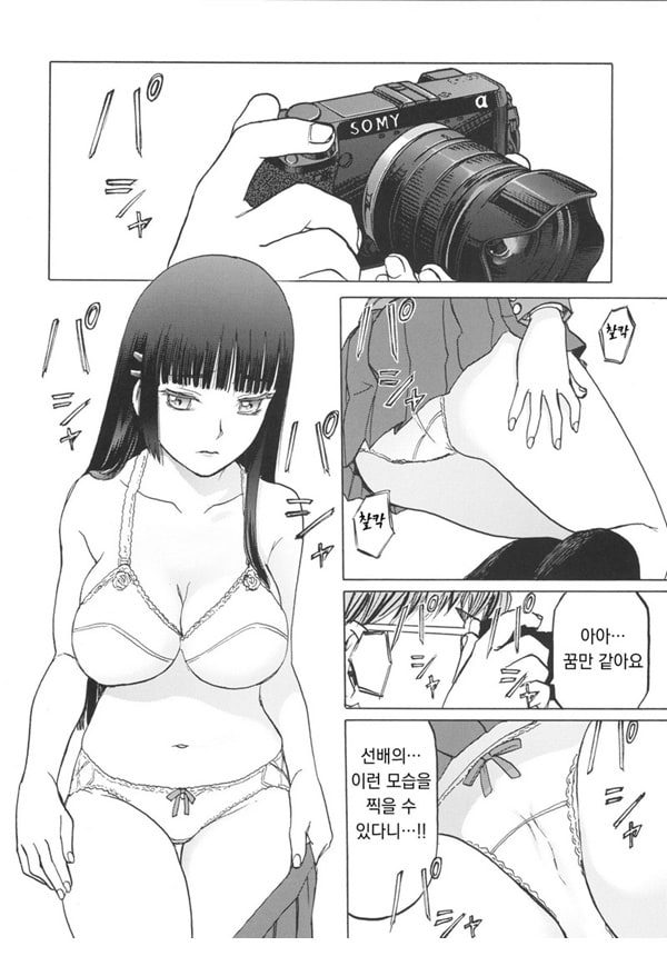 미야마 후우카의 망각록 미야마 후우카의 망각록