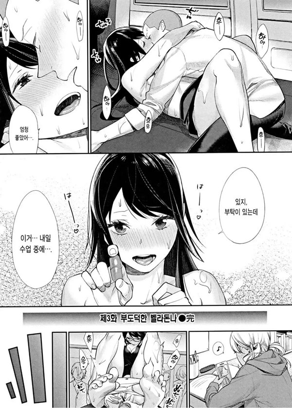 부도덕한 벨라도나 부도덕한 벨라도나