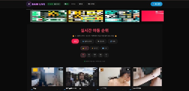 밤라이브 밤라이브