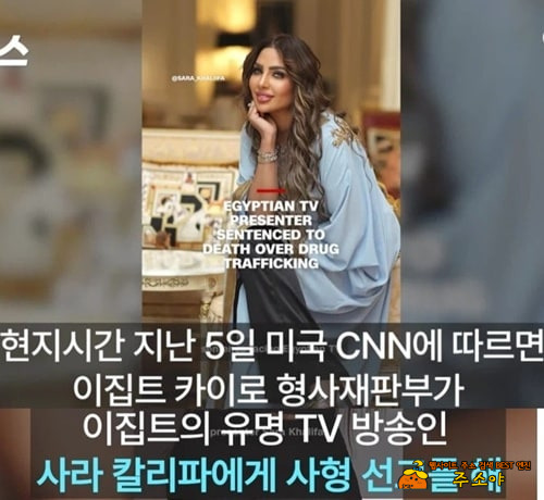 테러리스트 수준이네 테러리스트 수준이네