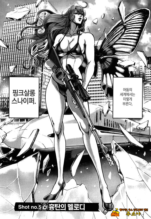 흉탄의 멜로디