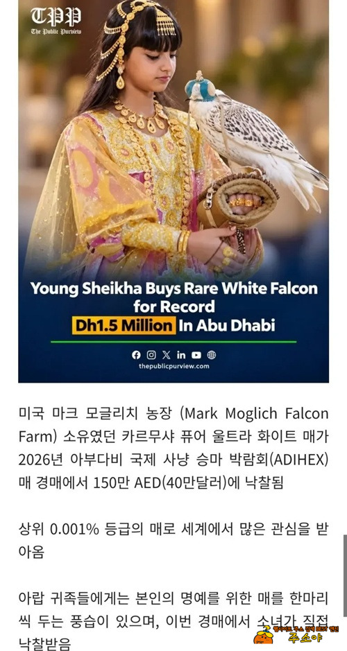 만수르 딸인가? 만수르 딸인가?