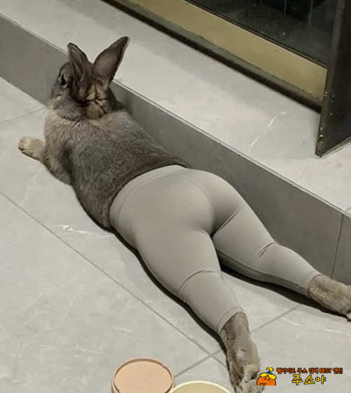 완전 사람 같네요 ㅋㅋㅋ 완전 사람 같네요 ㅋㅋㅋ